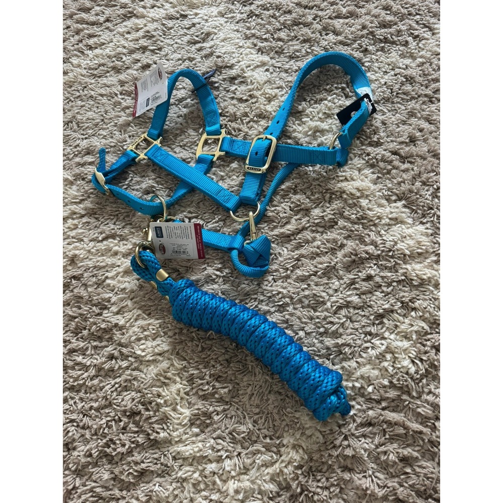 Weaver Leather Turquoise Adjustable Horse Halter and 8ft Poly Lead Rope Set NEW